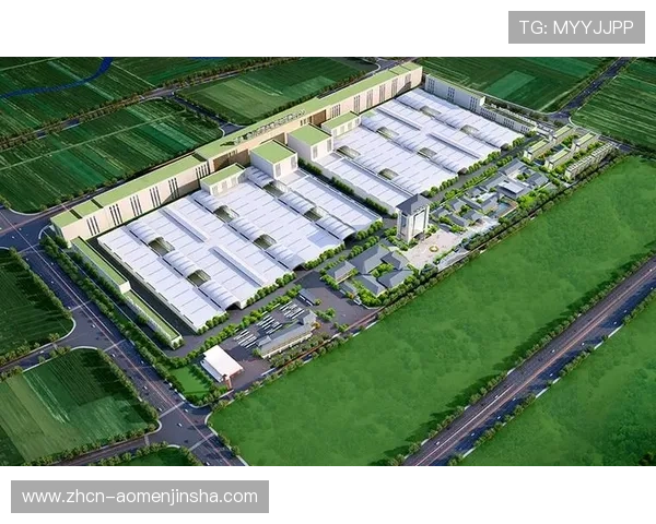 分析金沙河面业集团在品牌建设和市场推广中的成功经验与营销策略 分析金沙河面业集团在品牌建设和市场推广中的成功经验与营销策略